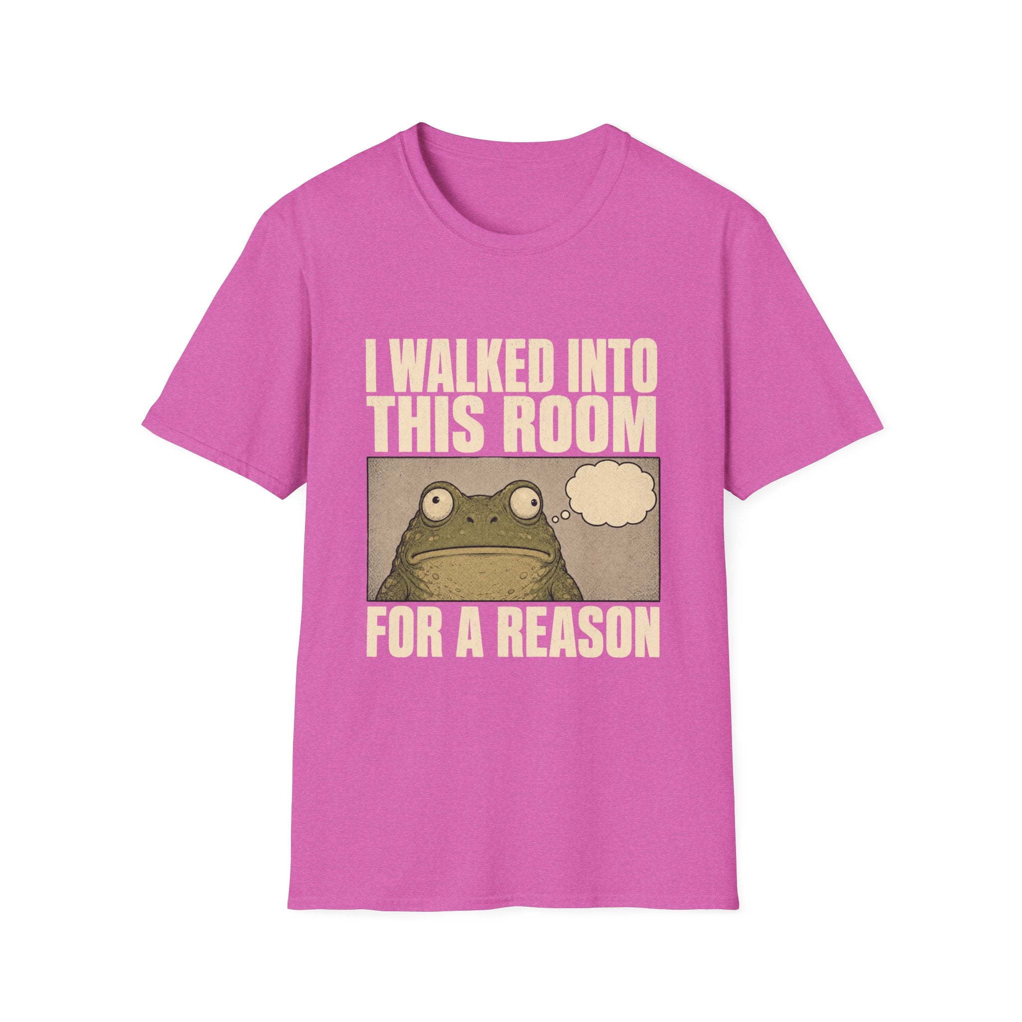I Walked Into This Room For A Reason T-Shirt